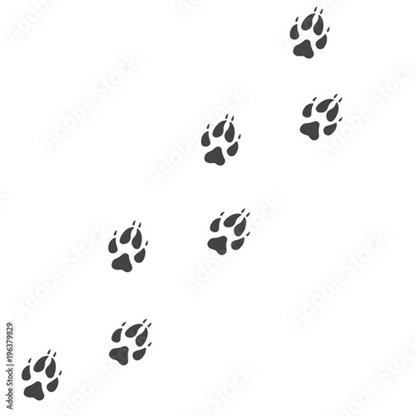 Fototapeta Vector illustration. Fox Paw Prints Track Logo. Black on White background. Animal paw print with claws.