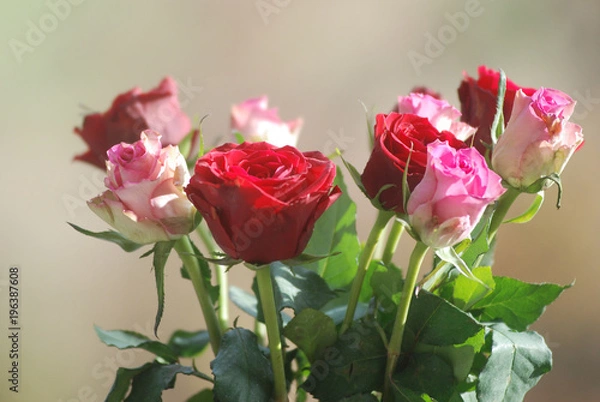 Obraz Bouquet de roses