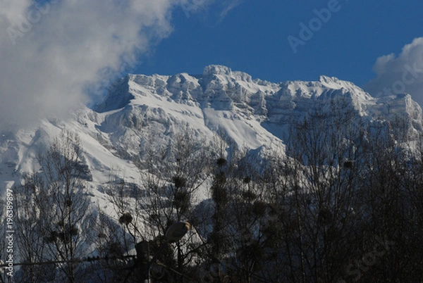 Obraz La Tournette enneigée