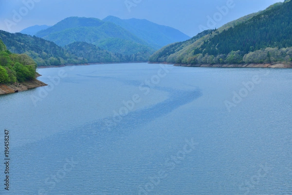 Fototapeta 風の通り道