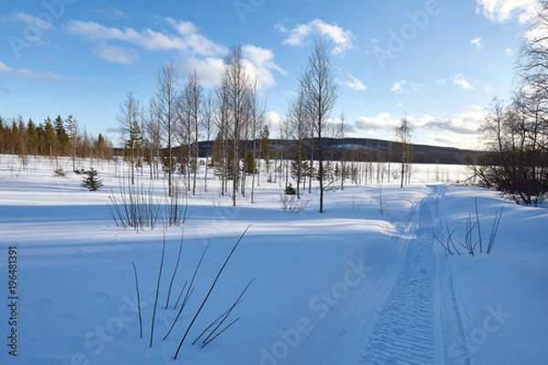 Obraz Quiet winter landscape.