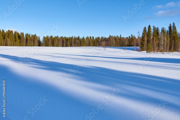 Obraz Quiet winter landscape.
