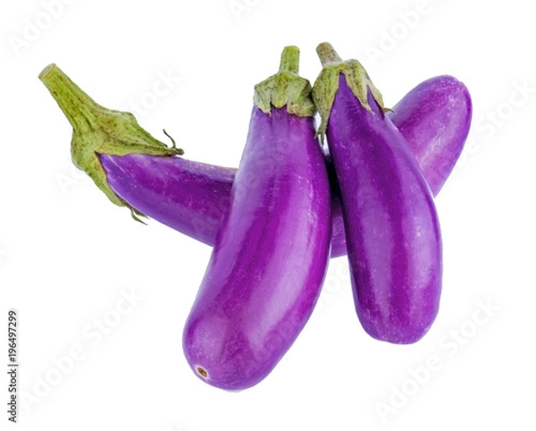 Obraz Eggplant isolated on a white background