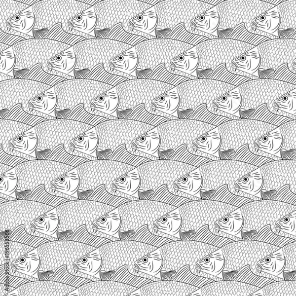 Fototapeta A flock of river fish carp. Background of painted carp fish. Sketch,Vector illustration