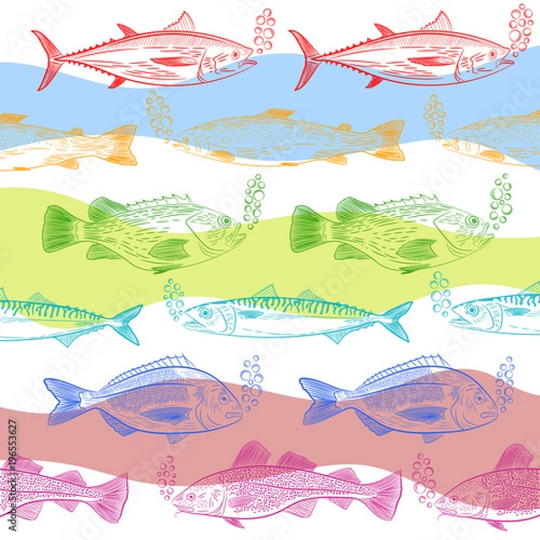 Fototapeta A set of popular marine fish. Multicolored pattern. Tuna, cod, dorado, salmon, sea bass, mackerel and painted oxygen bubbles. Sketch, vector illustration