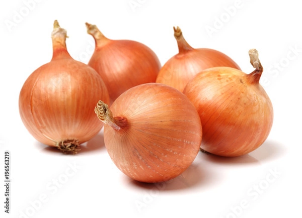 Obraz Gold onion vegetable bulbs on white background