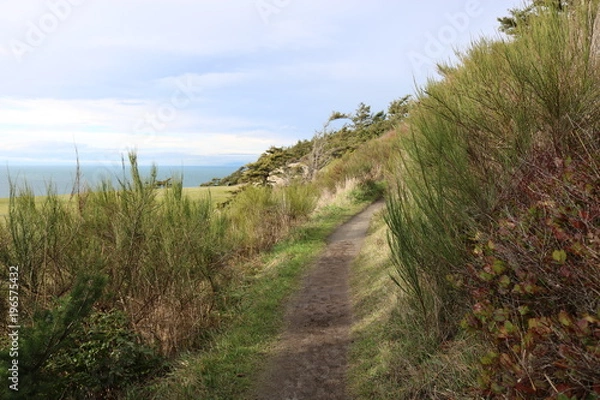 Obraz Pathway next to the ocean
