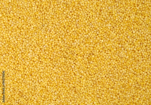 Obraz Millet set as background 