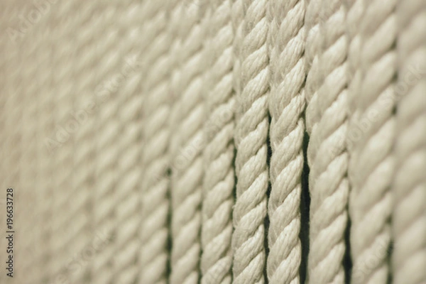Obraz white ropes.