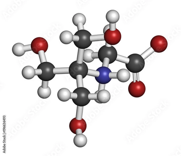Fototapeta Tricine buffering agent molecule. 3D rendering. Atoms are represented as spheres with conventional color coding: hydrogen (white), carbon (grey), oxygen (red), nitrogen (blue).