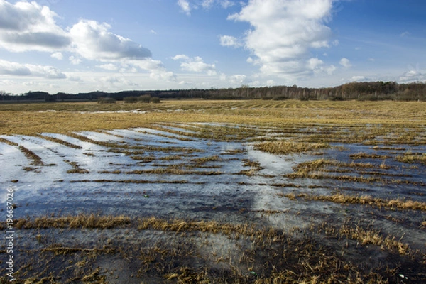 Obraz Flooded large meadow and clouds in the sky