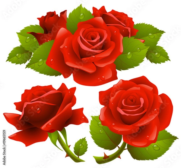 Obraz Red roses set