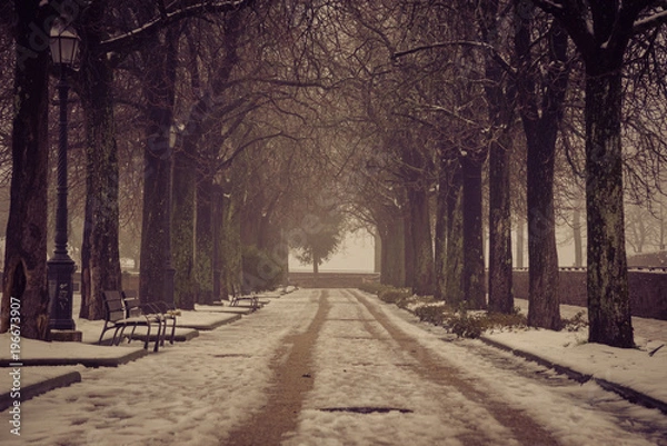 Fototapeta View of the Fortezza Medicea in Siena, italy after a snowfall
