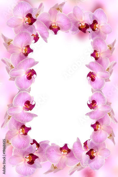 Fototapeta Orchideen 22