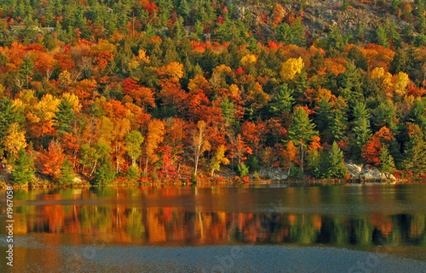 Obraz autumn morning