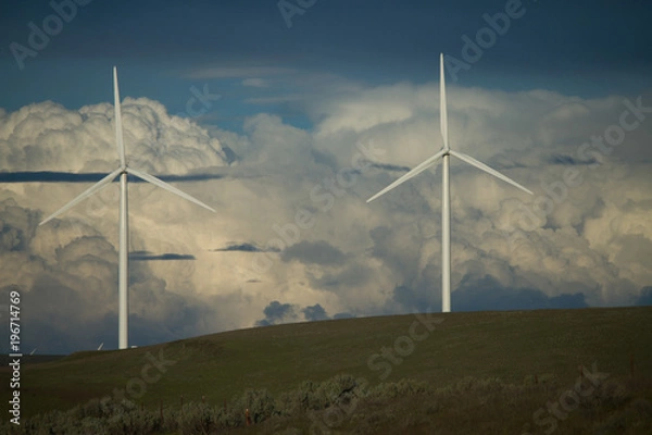 Obraz wind turbines