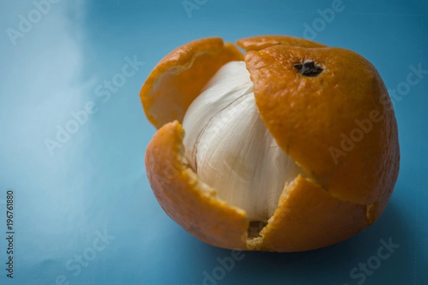 Obraz What hides a bright wrap?