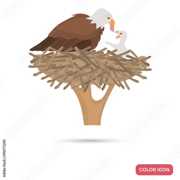 Fototapeta Eagle and chick in the nest color flat icon