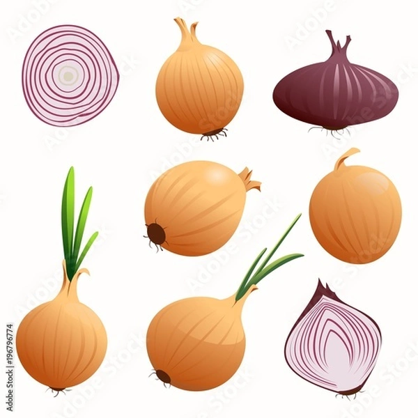 Fototapeta  set of onions