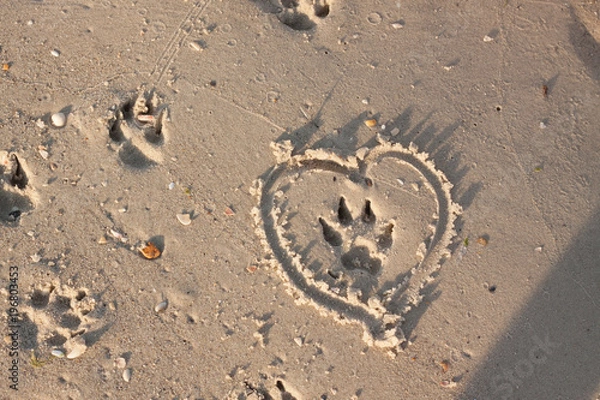 Fototapeta Dog footprind on wet sand and heart around it 