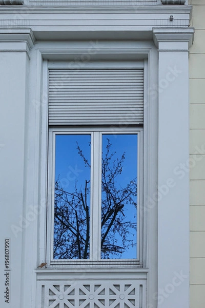 Fototapeta Tree and sky reflexion in the window white house