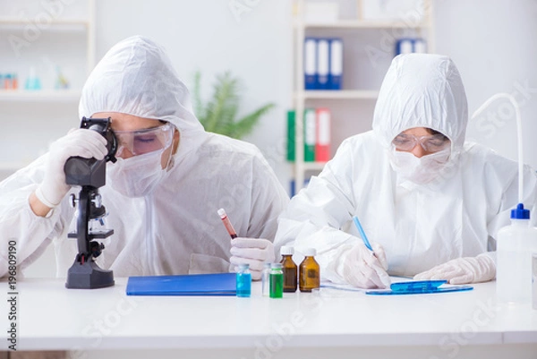 Fototapeta Two scientists working in the chemical lab