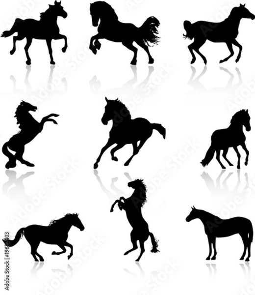 Obraz Horses