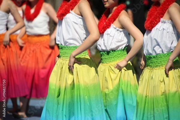 Obraz フラダンスの女性