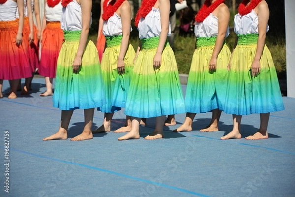 Obraz フラダンスの女性