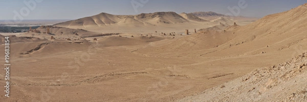 Obraz Pustynia Palmyra