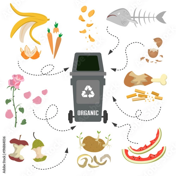Fototapeta Container with organic trash on white background.