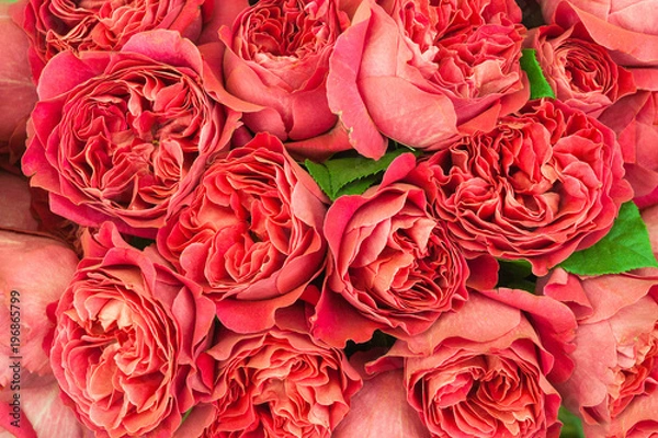 Obraz Beautiful roses lylies boquet background