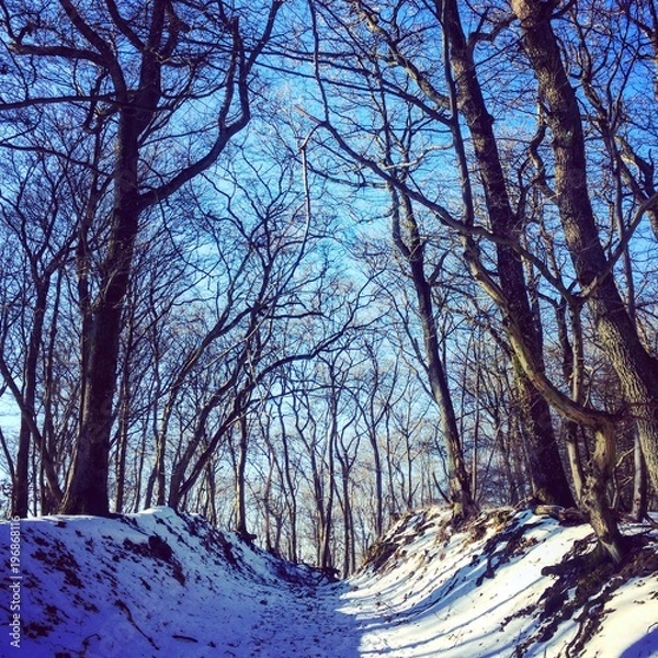 Obraz Schnee auf dem Donnersberg