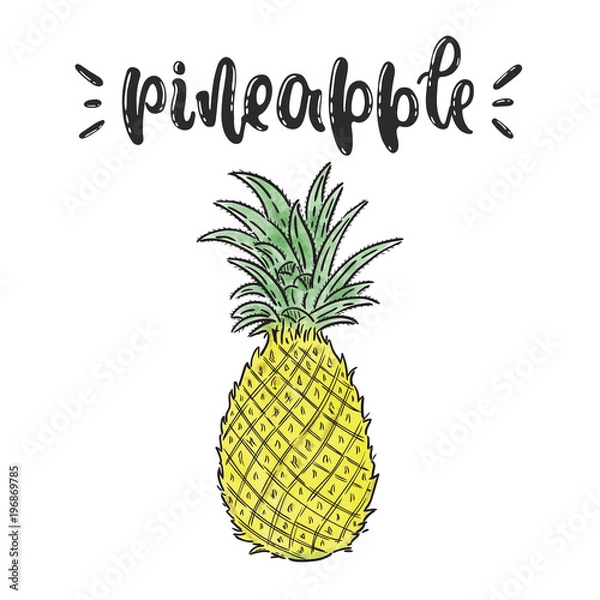Fototapeta Vector hand drawn illustration. Pineapple lettering, fruit. The idea for poster, posctcard.