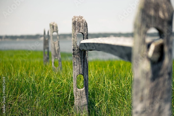 Fototapeta Old wooden fence in a green grass by the water 