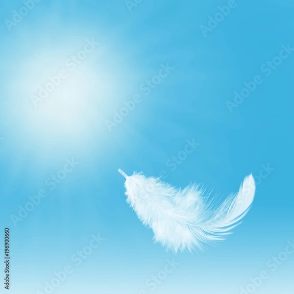 Obraz Abstract. Light fluffly white feather floating in the sky.