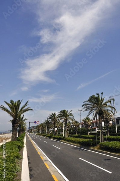 Fototapeta よこすか海岸通り