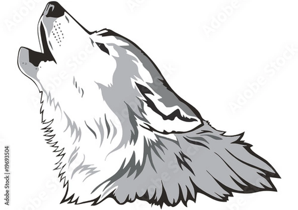 Obraz Wektor głowicy wilka