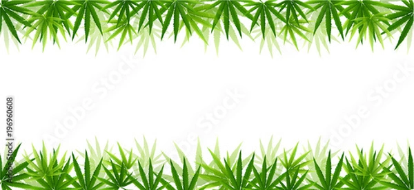Fototapeta Frame formed with hemp (marijuana) leaves isolated on white.