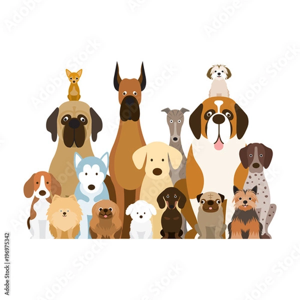 Fototapeta Group of Dog Breeds Illustration, Various Size, Front View, Pet