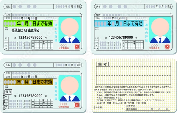 Obraz Japanese Driver's License Set