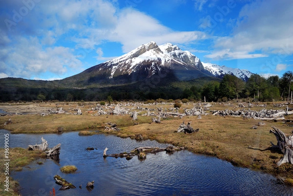 Obraz Lago de castores