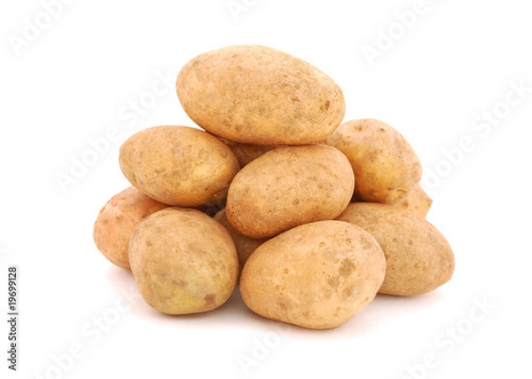 Obraz Potato