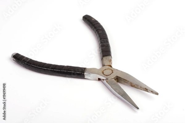 Obraz Old pliers.