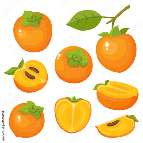 Obraz Bright vector set of colorful fresh juicy persimmon.