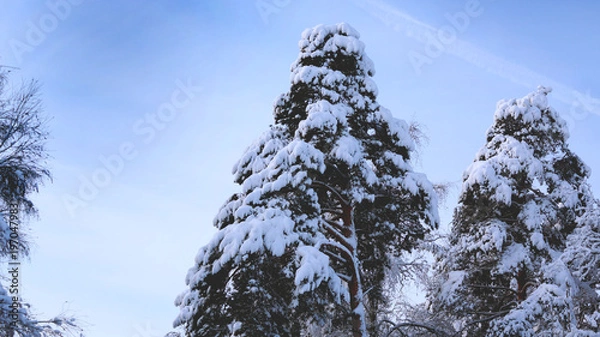 Obraz Стремление к небу