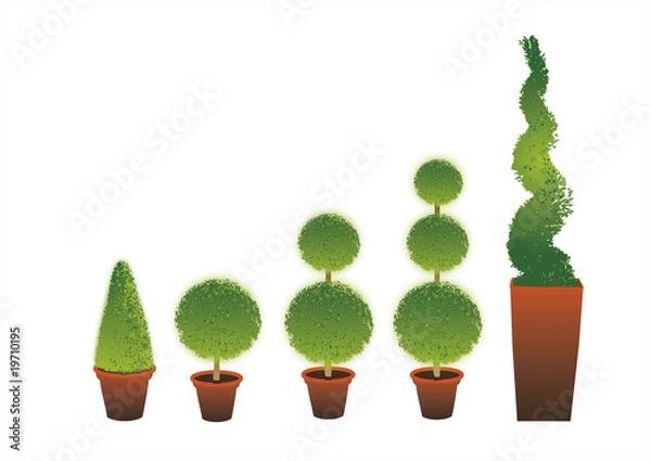 Obraz Topiary Shrubs