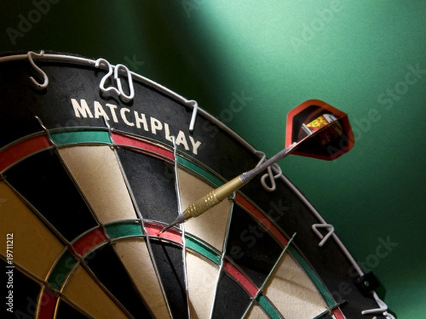 Obraz Profesjonalna tablica do rzutek