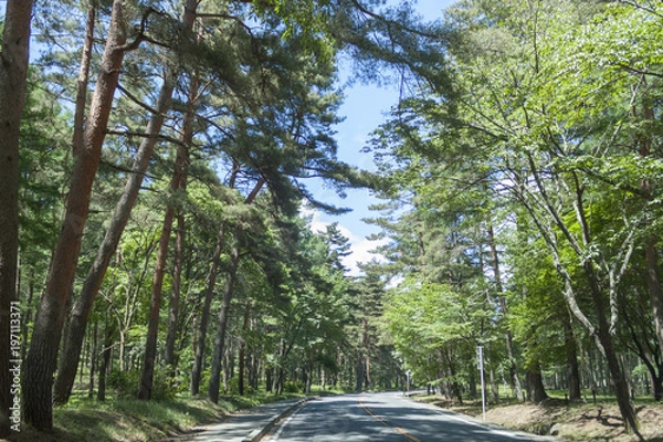 Obraz 快晴のビーナスライン