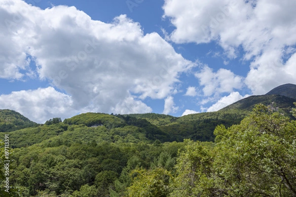 Obraz 快晴のビーナスライン